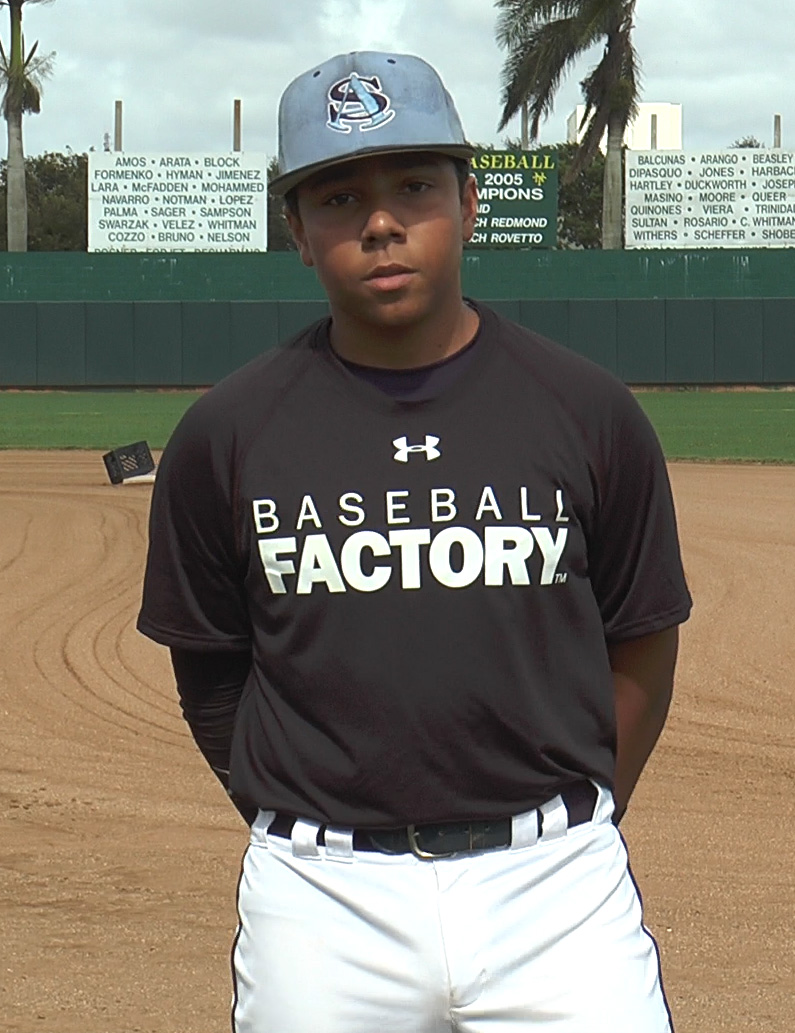 Baseball Factory, Player Page