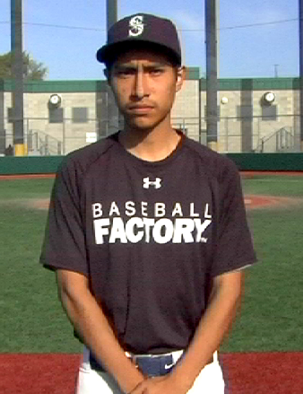 Baseball Factory, Player Page