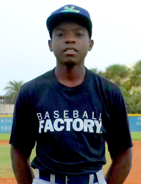 Baseball Factory, Player Page