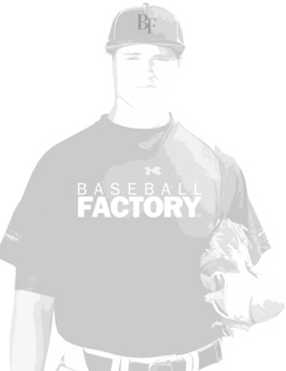 Baseball Factory, Player Page